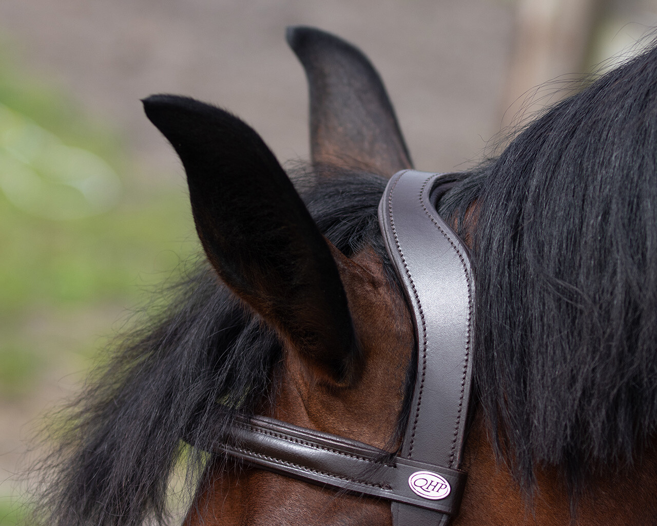 QHP Leather Lunging Cavesson - Sagebrush Tack