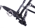 QHP Leather Lunging Cavesson - Sagebrush Tack