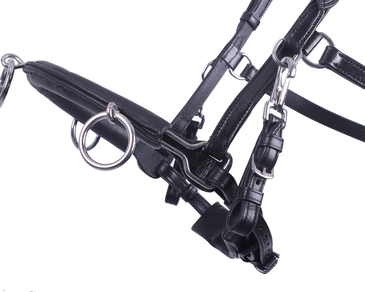 QHP Leather Lunging Cavesson - Sagebrush Tack