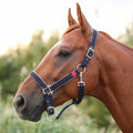 3 Sided Halter Square - Chrome Plated