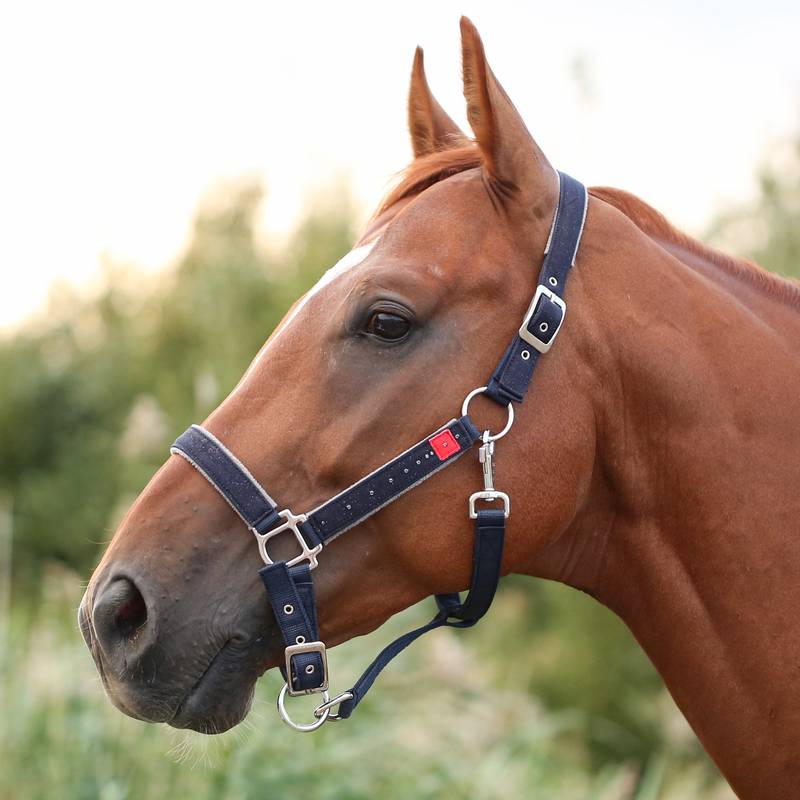 3 Sided Halter Square - Chrome Plated