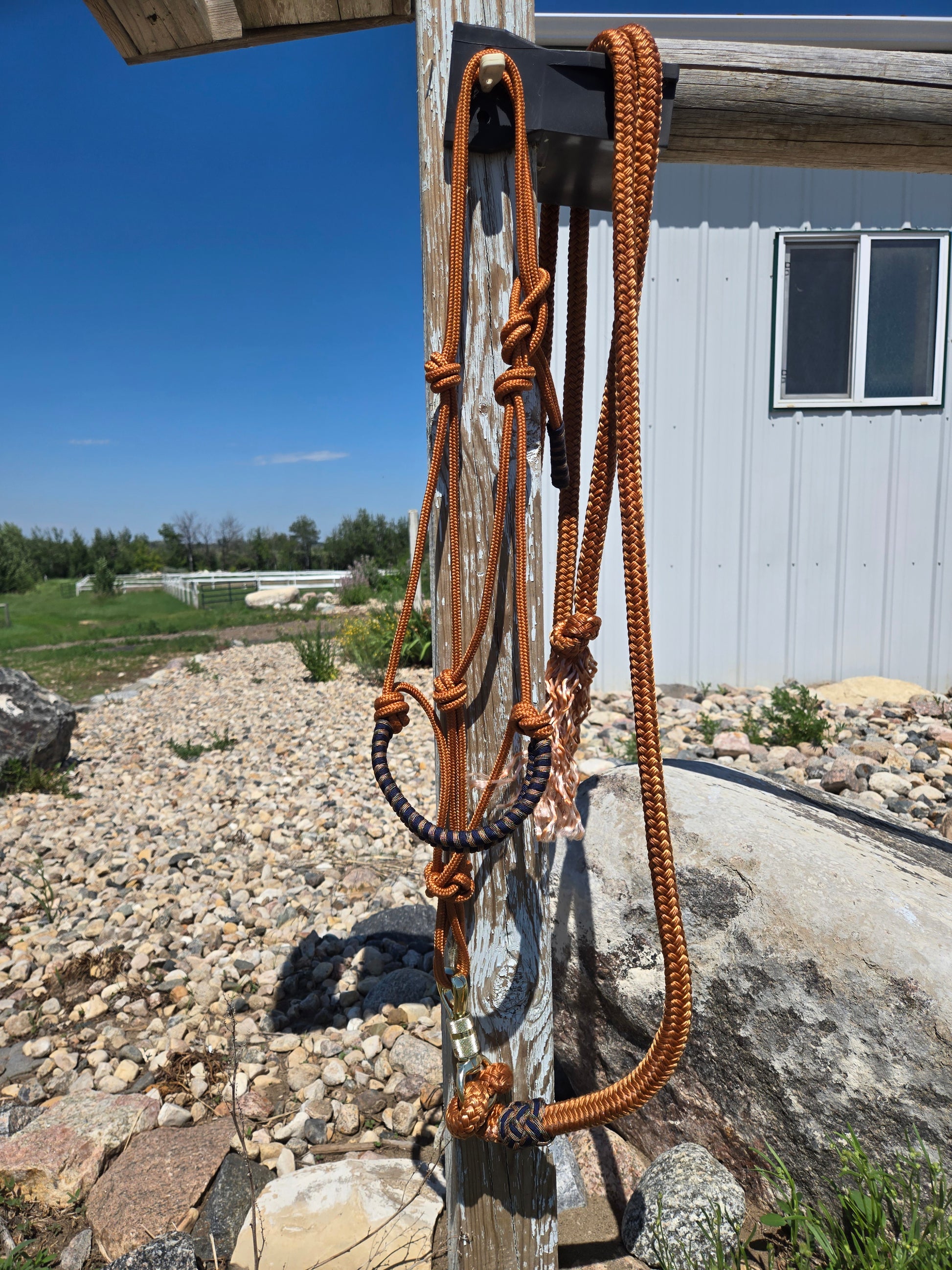 DIY Soft Rope Halter with Step-by-step Instructions - Sagebrush Tack