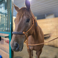 Custom soft rope halter - The Maker Barn Studio