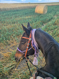 Custom soft rope halter - The Maker Barn Studio