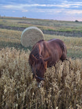 Custom soft rope halter - The Maker Barn Studio