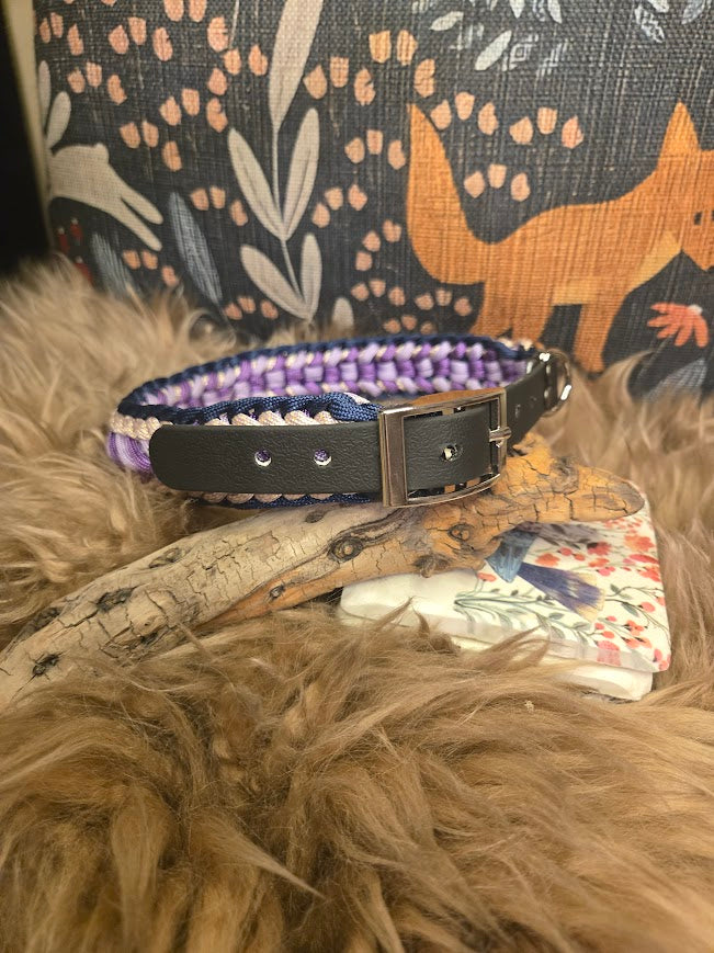 "Arabian Nights" Braided dog collar-L - Sagebrush Tack