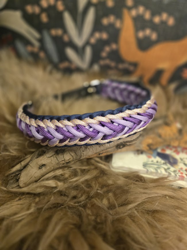 "Arabian Nights" Braided dog collar-L - Sagebrush Tack