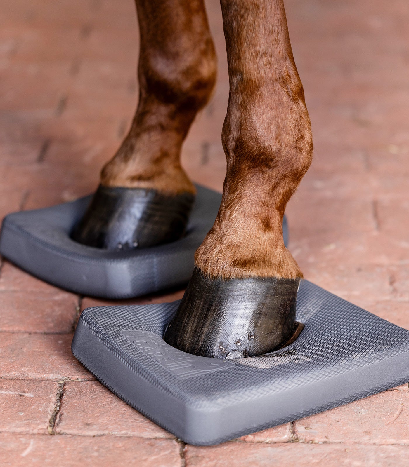 Waldhausen Health + Care Balance Pads - Sagebrush Tack