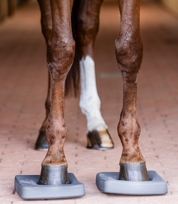 Waldhausen Health + Care Balance Pads - Sagebrush Tack