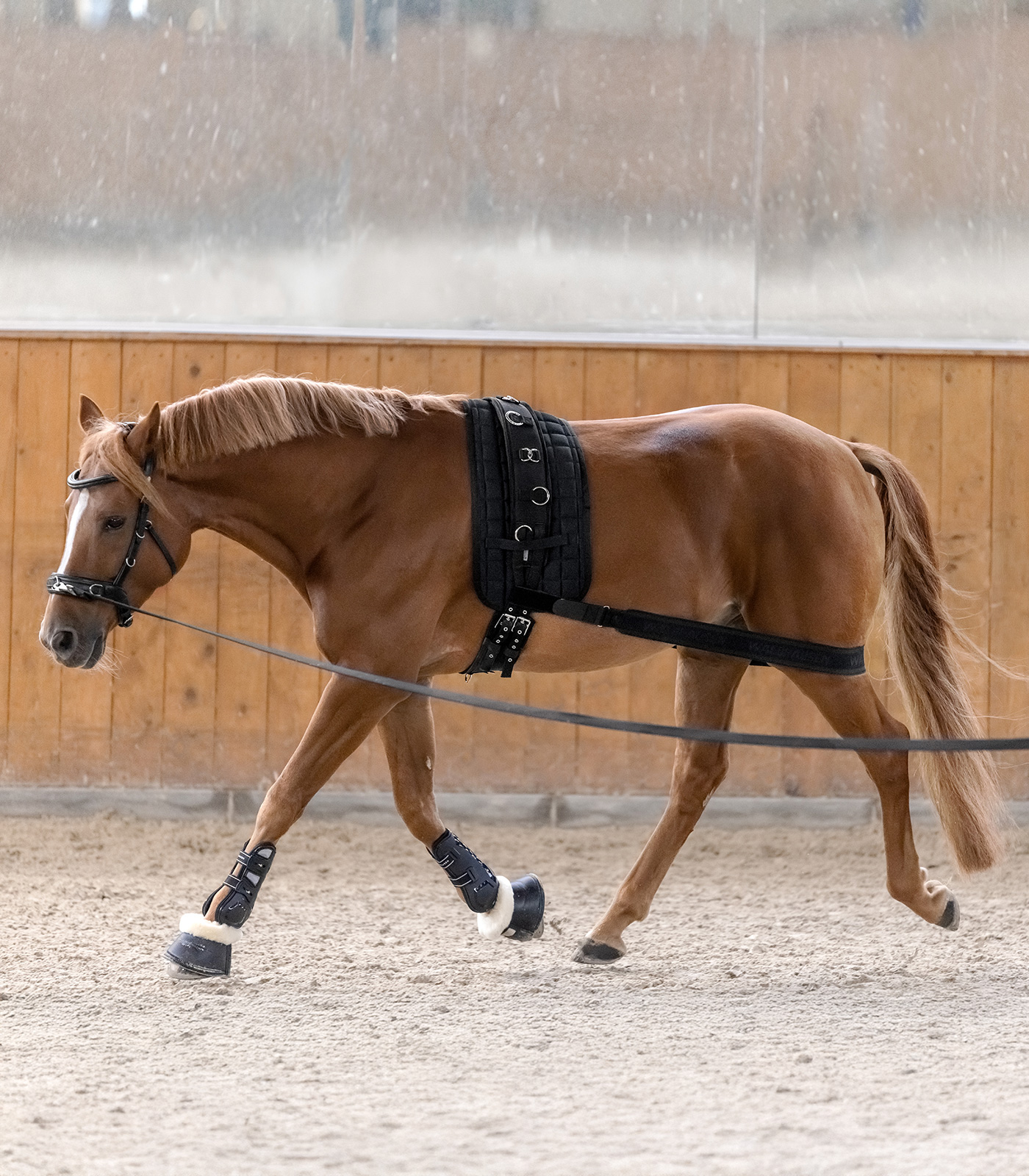 WH Body Bandage - Sagebrush Tack