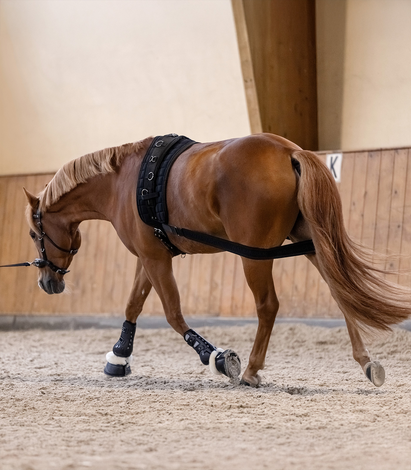 WH Body Bandage - Sagebrush Tack
