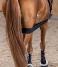 WH Body Bandage - Sagebrush Tack