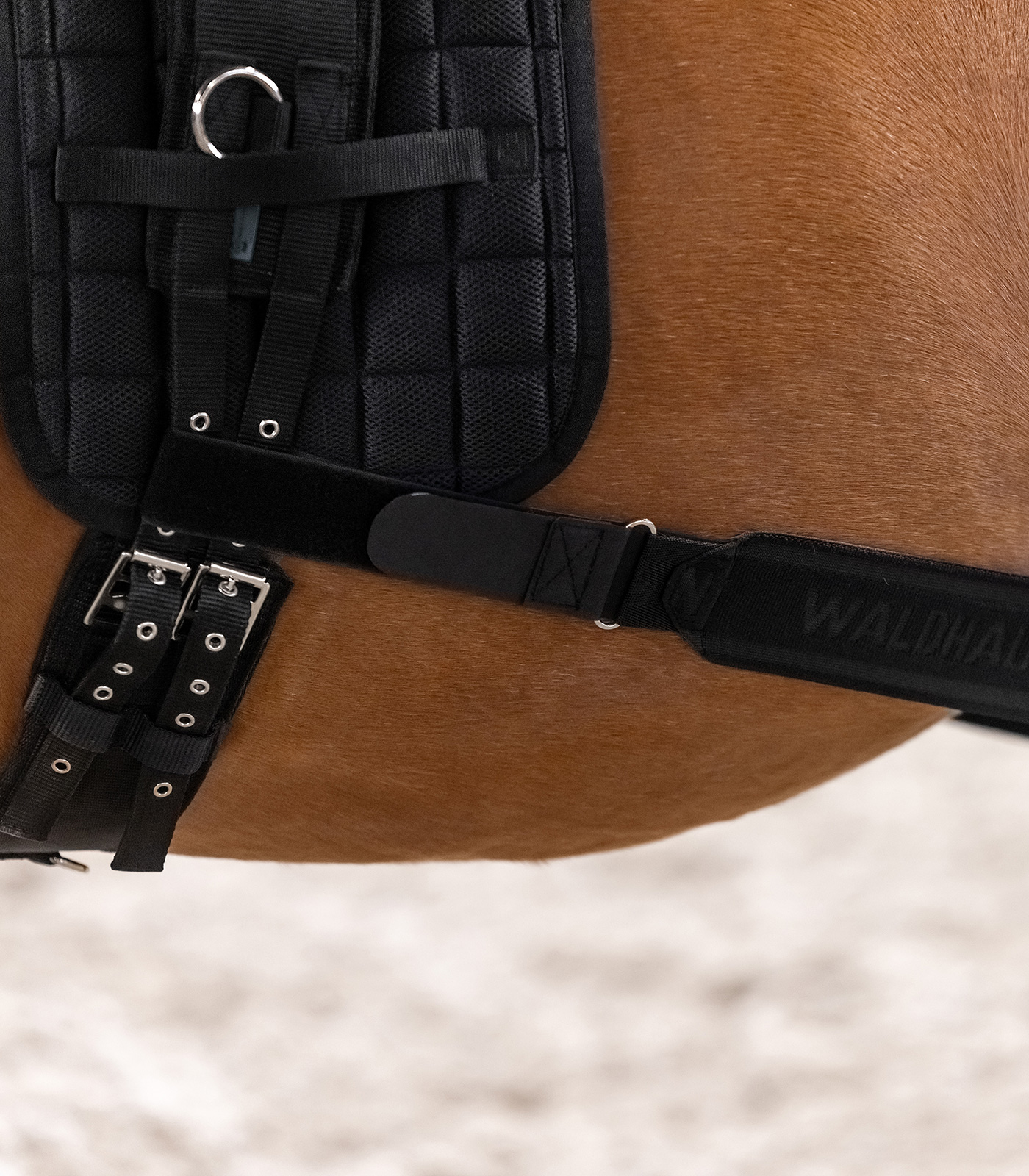 WH Body Bandage - Sagebrush Tack