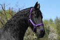 3 Sided Halter Square - Chrome Plated