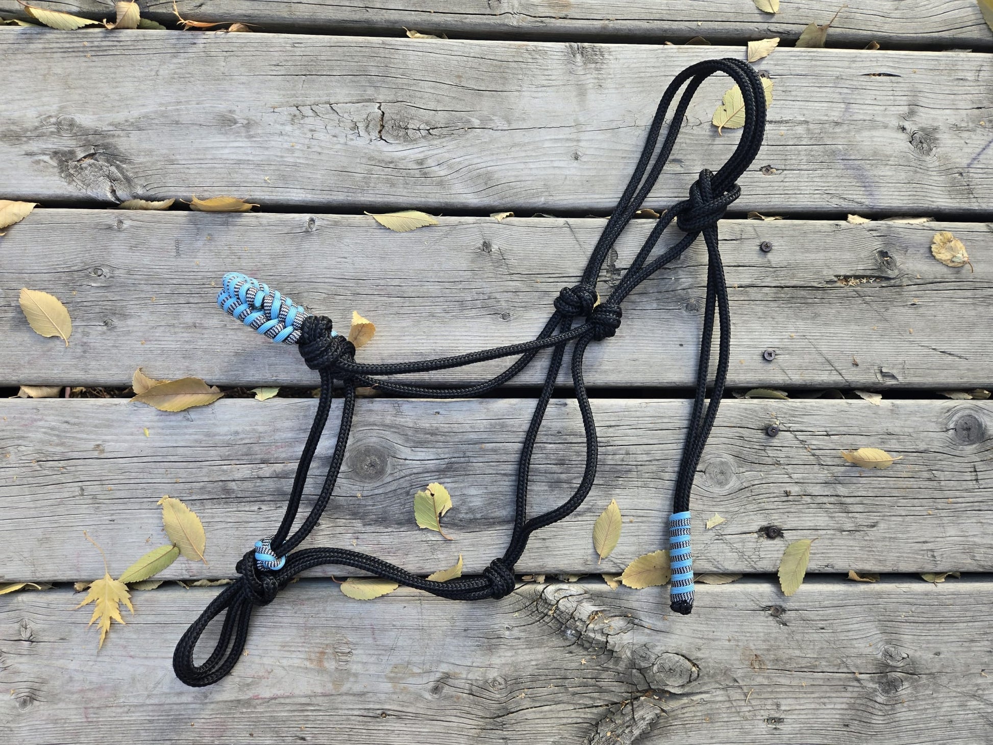 DIY Soft Rope Halter with Step-by-step Instructions - Sagebrush Tack