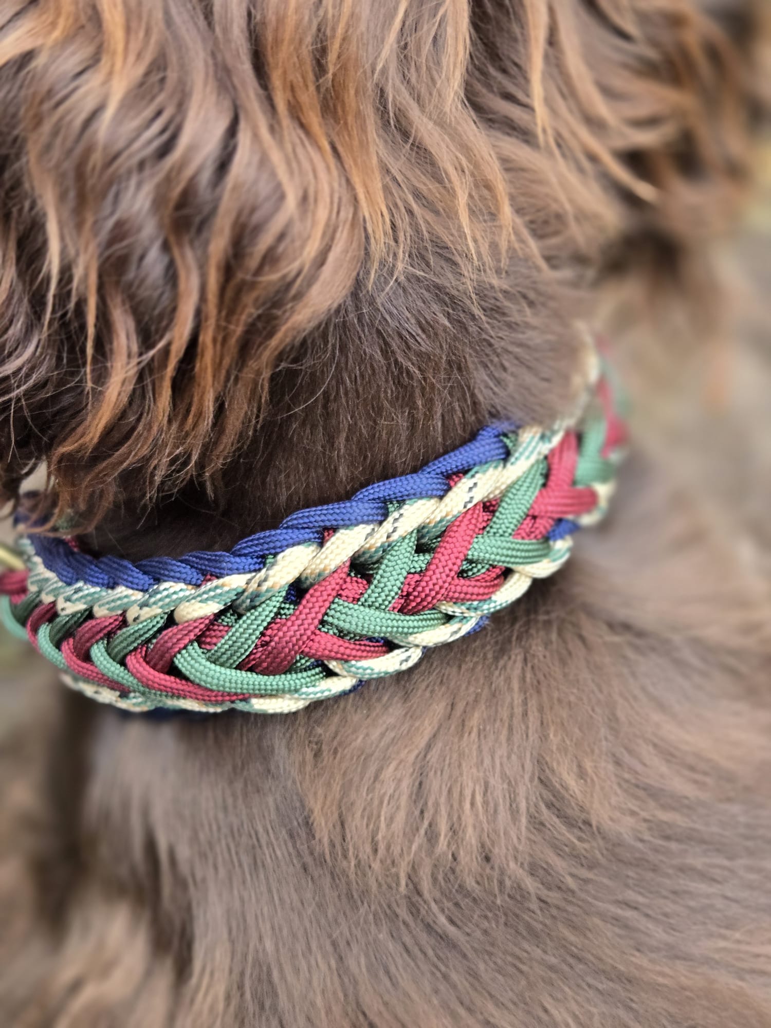 Custom Waterwave dog collar (non-adjustable) - The Maker Barn Studio