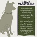 DIY Riverbar Braid Dog Collar Kit | XS-XL - The Maker Barn Studio