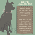DIY Riverbar Braid Dog Collar Kit | XS-XL - Sagebrush Tack
