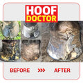 Hoof Doctor Putty - Sagebrush Tack
