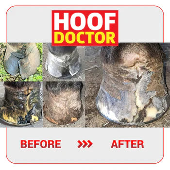 Hoof Doctor Putty - Sagebrush Tack