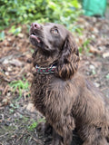 Custom Waterwave dog collar (non-adjustable) - The Maker Barn Studio