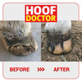 Hoof Doctor Putty - Sagebrush Tack