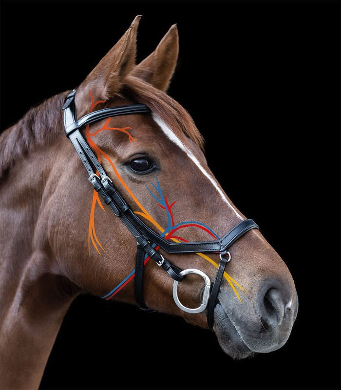 X-Line Relaxation Bridle - The Maker Barn Studio